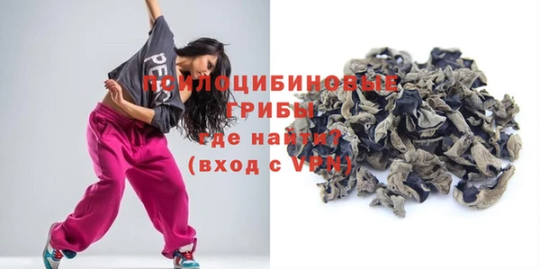 шишки Абаза