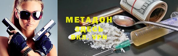 шишки Абаза