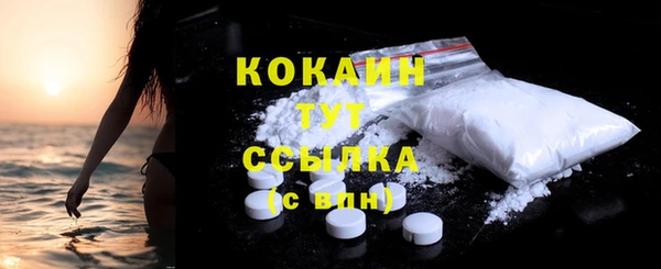 шишки Абаза