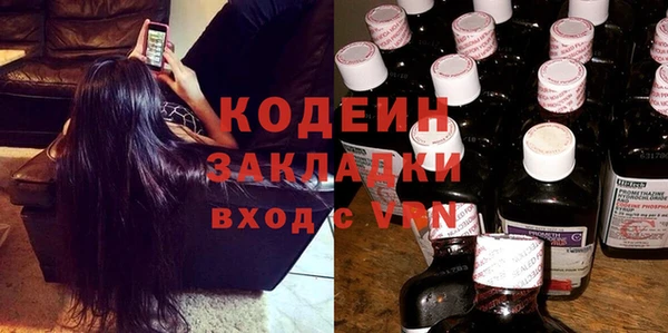 шишки Абаза