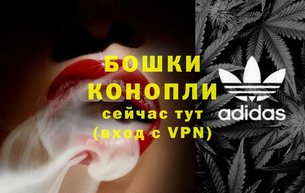 шишки Абаза