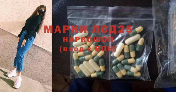 шишки Абаза