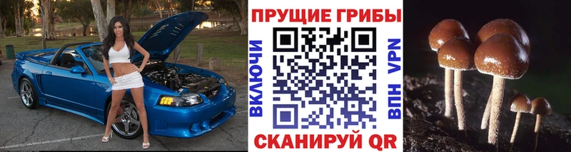 цены Ува это какой сайт Псилоцибиновые грибы ЛСД