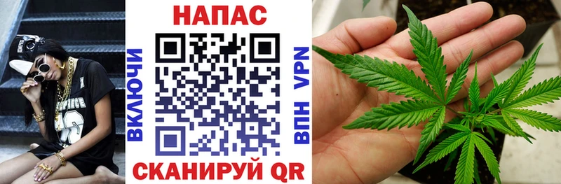 Каннабис SATIVA & INDICA  Ува 